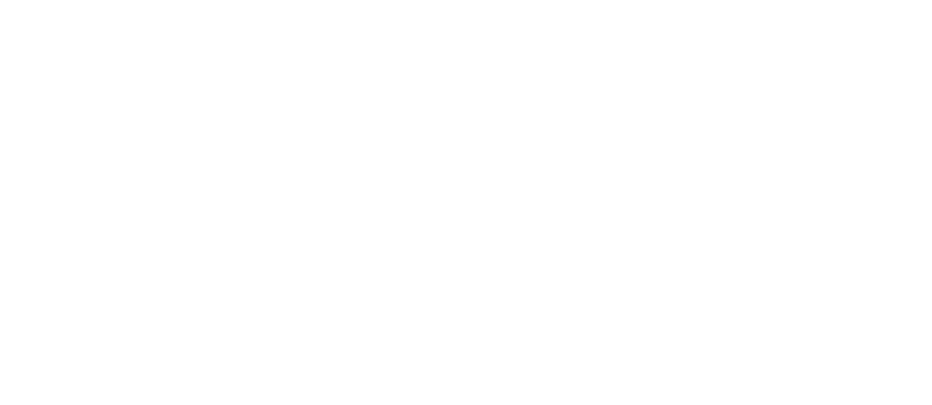 Analog Exclusive logo